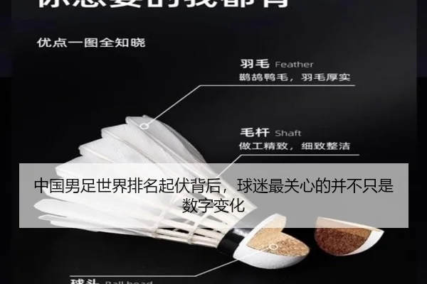 中国男足世界排名起伏背后，球迷最关心的并不只是数字变化